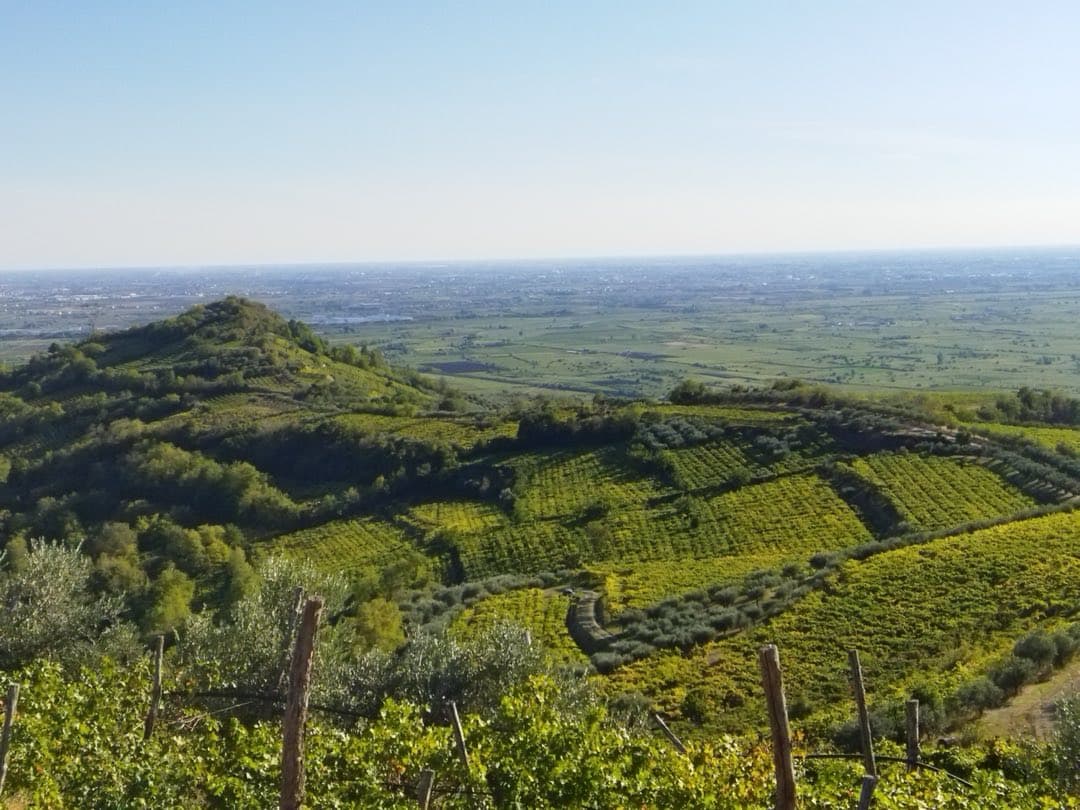 La tenuta Ca' del Sette vista dall'alto tra i vigneti